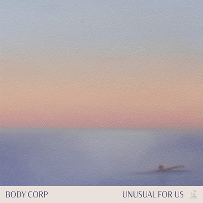 #ad #ad Body Corp Unusual for Us Vinyl $34.58