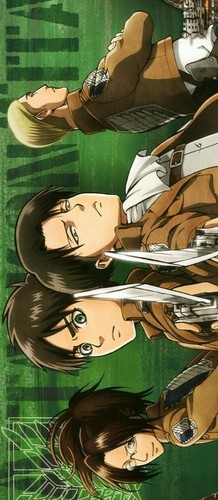 poster Attack on Titan anime Shingeki no Kyojin Eren Levi Zoe Hange - Picture 2 of 2