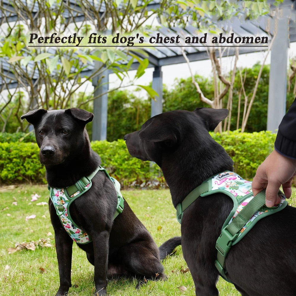 Dog Harness Collar 5Ft Leash Poop Bag Holder Set, Reflective Adjustable No-Pull