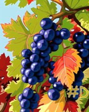 Autumn Purple Grapes Printed Needlepoint Canvas FA78-3