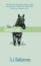 The Green Colt: the Adventures of Wilder Good #4 Paperback S. J.