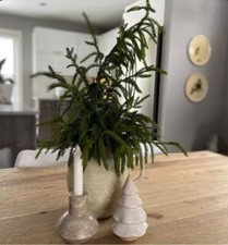 29" Fresh Touch Fir Branch/Faux Spray/Autumn Decor/Holiday Decor/Fall Decor/Than