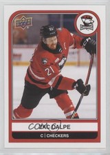2023-24 Upper Deck AHL Zac Dalpe #77 2vh