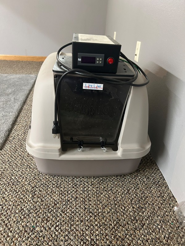 lifeline incubator