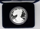 2020-W  Proof American Silver Eagle One Dollar Coin in OGP w/COA
