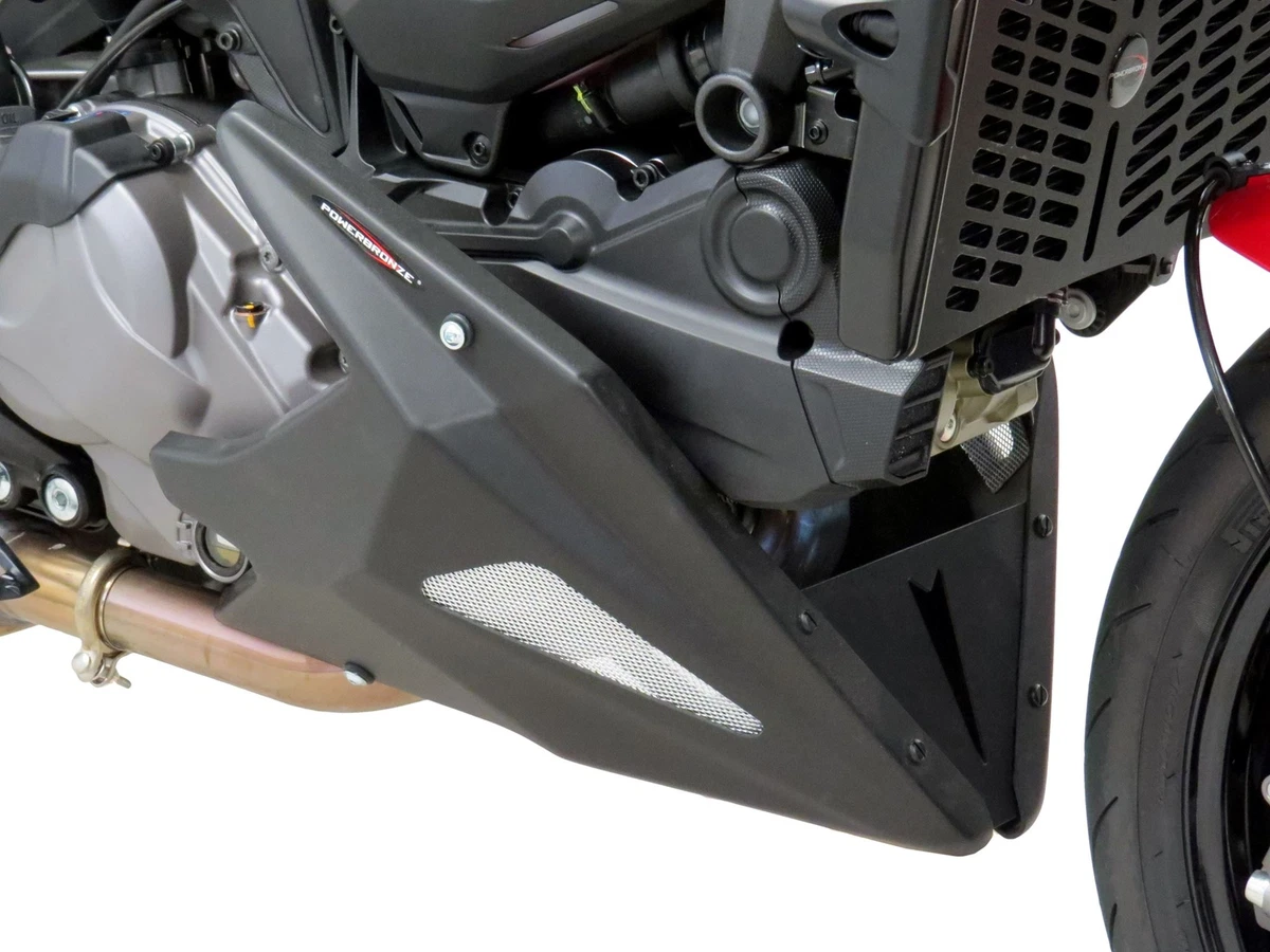 Ducati monster 950 2021 online