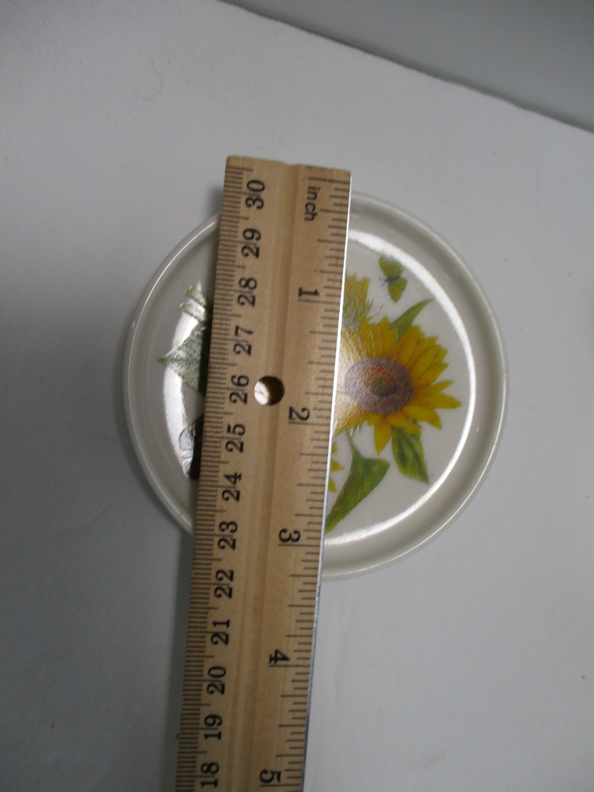 Picture 19 of 19
