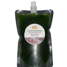 Live Phytoplankton Nannochloropsis 500ml-1500ml Microalgae Plants Aquarium Food