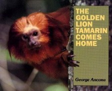 The Golden Lion Tamarin Comes Home by George Ancona