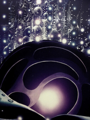 Excellent!!! 'In Bloom'. Tim Cantor 3/80 cibachrome, autograph | eBay