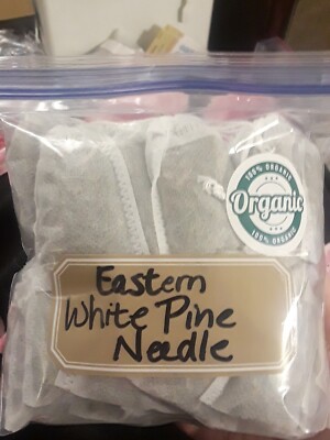 25 Pc Lot: Organic Eastern White Pine Needle Tea Bags Suramin Fresh Tree Bag