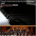 Franz Liszt - Liszt: Sonata in B minor (2008)