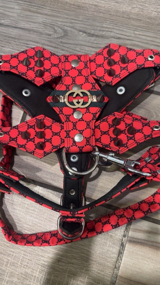 Dog Harness and Leash Medium Size Set