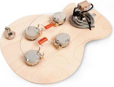 Golden Age Pre-wired Harness for Gibson Les Paul with Standard-Shaft CTS Pots