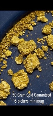 Paydirt (4lb) Texas Creek Bed Half Gram (.50)  Added Gold Pickers Flakes & Fines