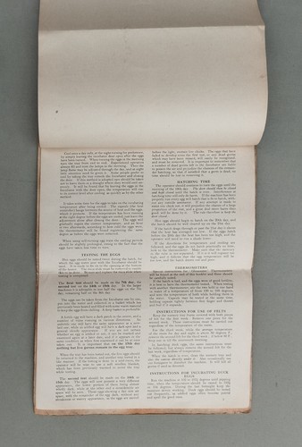 Lister Gloucester Incubator Instructions Junior Vintage Poultry Chicken Breeding - 第 5/5 張圖片