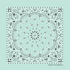 Mint Paisley 22x22 Bandanna