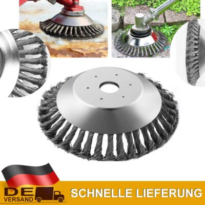 299623_6 299623_6