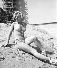 MARILYN MONROE  8X10 Glossy Photo