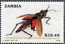 Zambia #SG601 MNH 1989 Grasshopper Pyromorphid 479