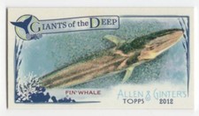 2012 Topps Allen & Ginter Mini GIANTS OF THE DEEP FIN WHALE #GD-8