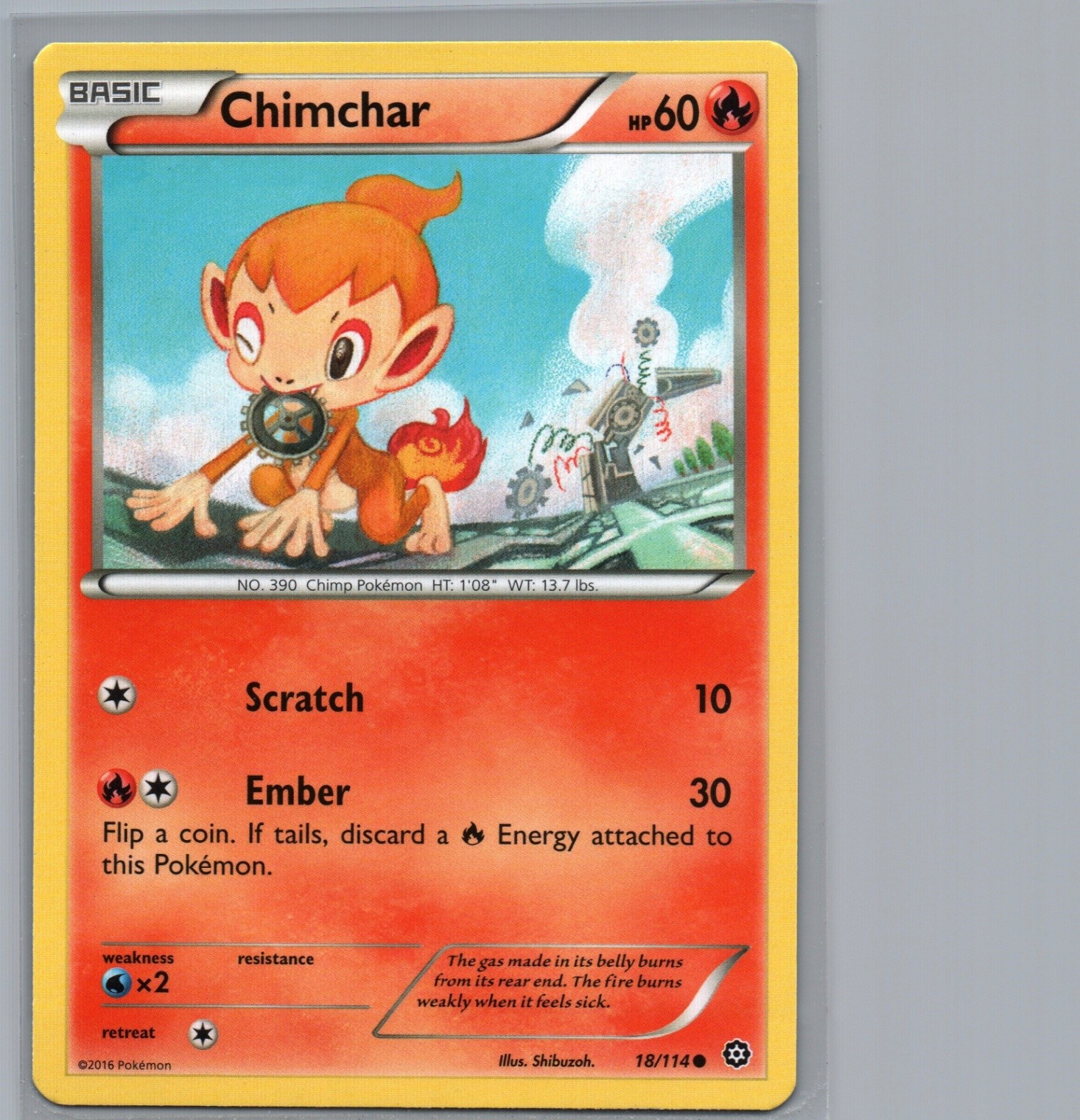 Chimchar | 18/114 Common | XY - Steam Siege | LP