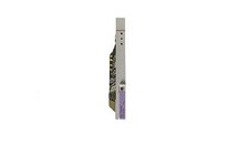 Refurbished Avaya Definity TN747B