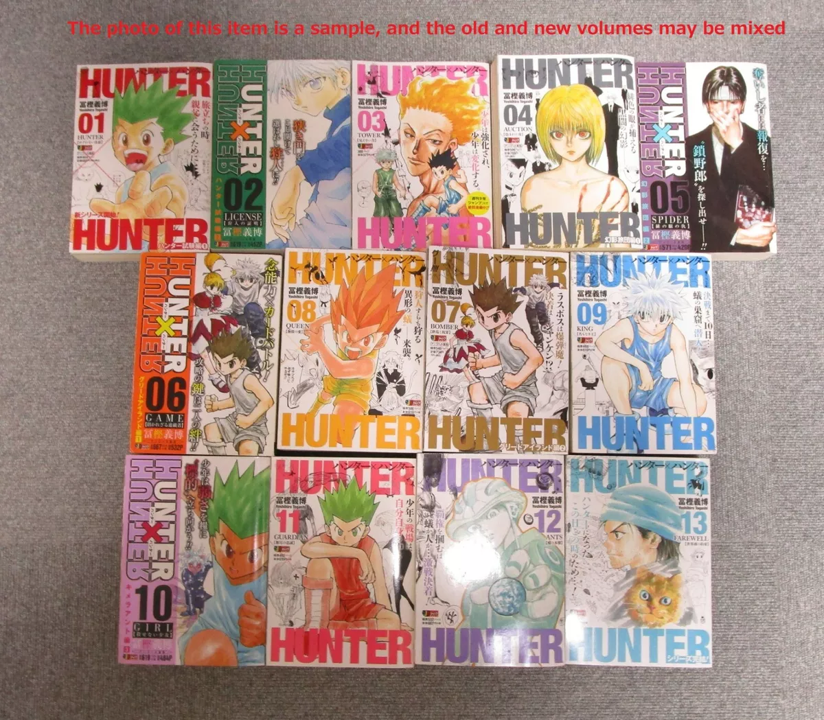 Hunter x Hunter, Vol. 13