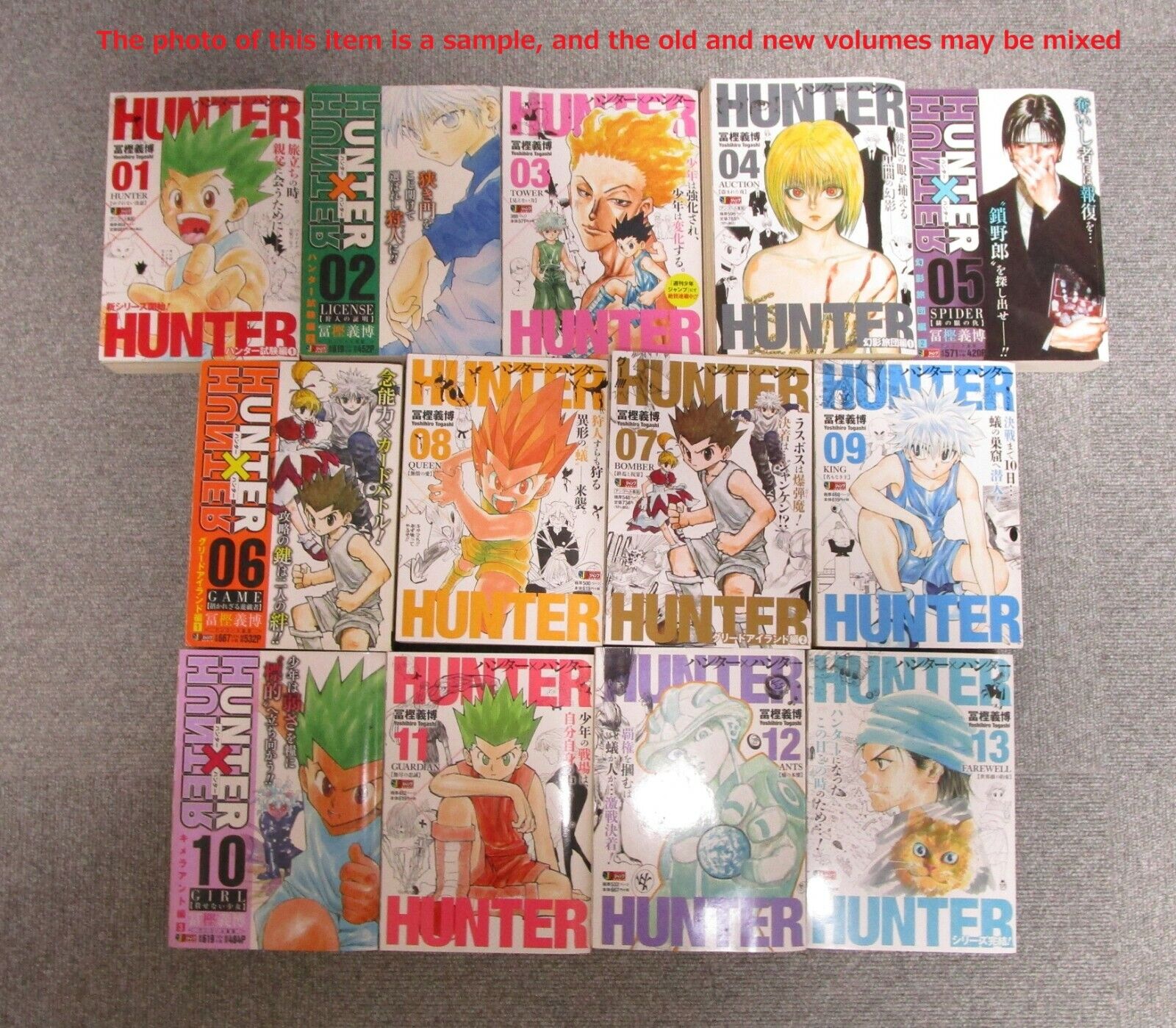 Hunter X Hunter: Volume 1 (Episodes 1-13) (DVD, Viz Media, Shonen Jump  Manga) 782009244493