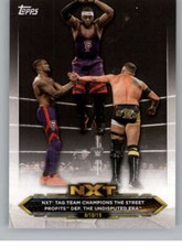 2020 Topps WWE NXT Wrestling Base & Bronze Singles (Pick Your Cards)