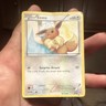 Pokémon TCG Eevee XY Trainer Kit 21/30 Common Regular Basic 60 HP 2014