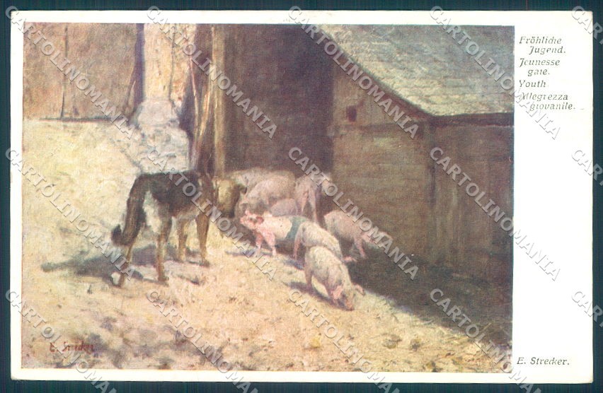 Cartolina cartolina firmata artista strecker animali maiale cane BKWI 2507 TW1421