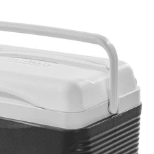 Insulated Hard Cooler 8.5 QT Portable Cooler 12 Can Capacity Ice Chest W/Handles