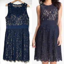 Eliza J Sleeveless Midi Dress 14 Blue Floral Lace Pleated Skirt Whimsigoth Fairy