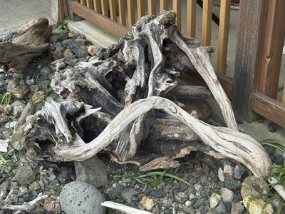 Natural Driftwood Landscape Decor