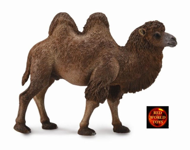 schleich camel