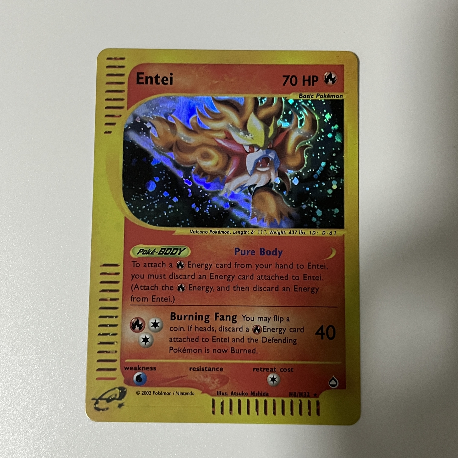 CUSTOM|Entei|Foil|English|DIY DisplayONLY e-Reader