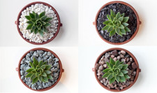 Decorative Stones. Pebbles & Chippings. Marble, Pot Topper, Succulents, Garden