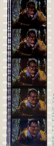 Jurassic Park 1993 Very Rare Unmounted 35mm Film Cells - Steven Spielberg - Picture 122 of 142