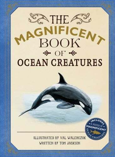 The Magnificent Book of Ocean Creatures by Tom Jackson: Used