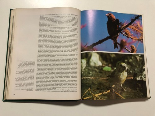 LA AVENTURA DE LA VIDA. CRONICA DE VIAJES DE FELIX RODRIGUEZ DE LA FUENTE. 1981 - Imagen 7 de 11