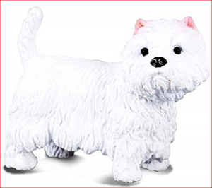 toy westie