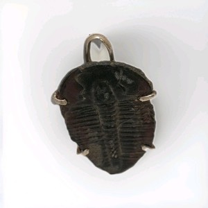 Vintage Sterling Wire Trilobite Fossil Pendant On Braided Adjustable Cord J9