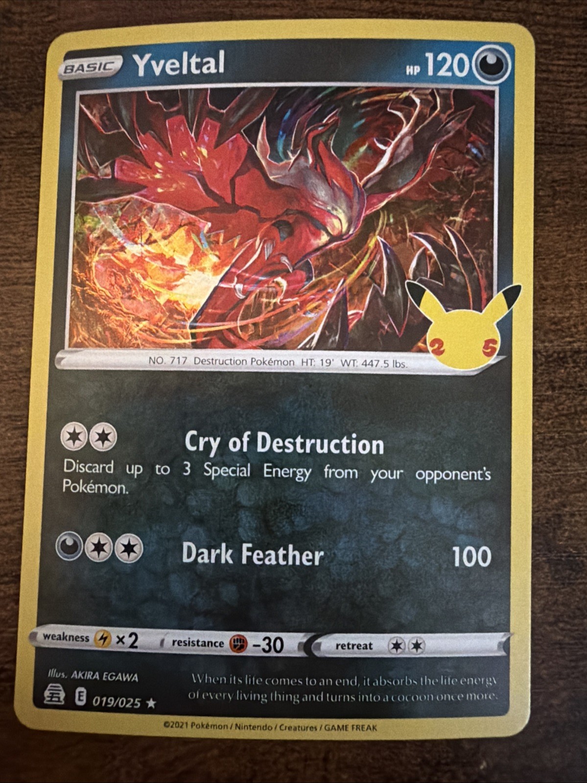 Pokemon Celebrations Yveltal 19/25 Holo Rare NM