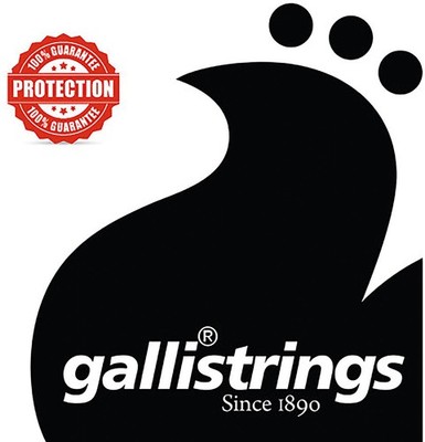 Nickel Wound Loop Ended .018 String, Galli NW018, Strings at Hobgoblin Music