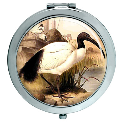 Ibis Kompakter Spiegel