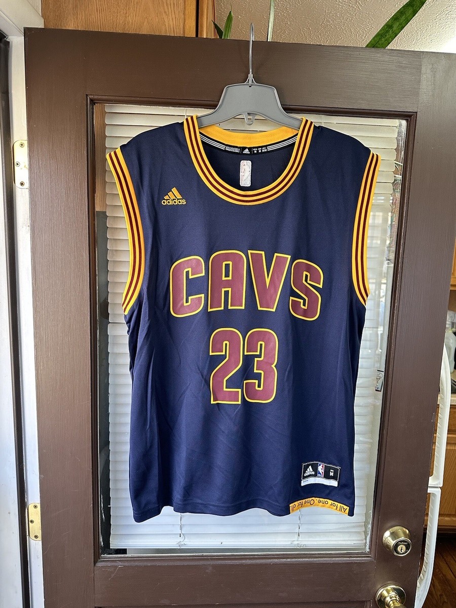 Authentic LeBron James #23 CAVALIERS 2015 Alternate NBA Basketbal