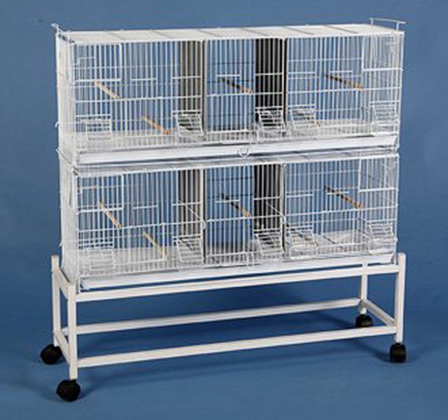large canary cage