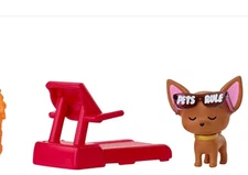 BARBIE DOLL EXTRA   BROWN CHIHUAHUA WITH PETS RULE GLASSES AND  RED TREADMILL