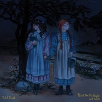 Told Slant - Point The Flashlight And Walk - Cd - F600Z